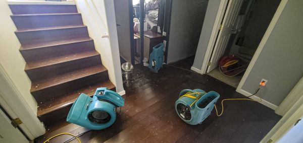 Water Damage Remediation in Park City