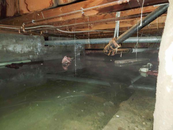 Cost of Water Mitigation Service in Park City